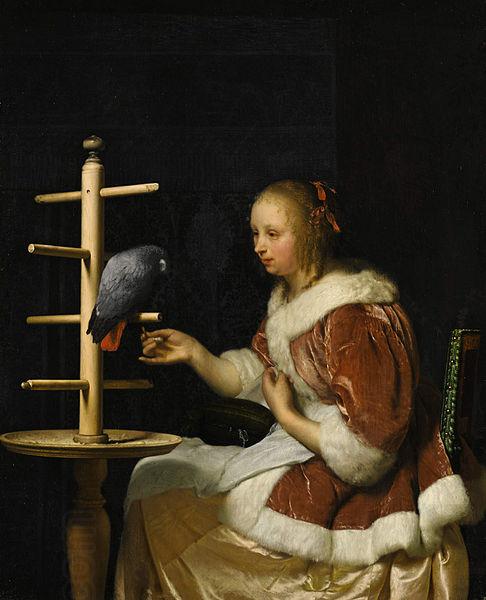 Frans van Mieris A Young Woman in a Red Jacket Feeding a Parrot China oil painting art